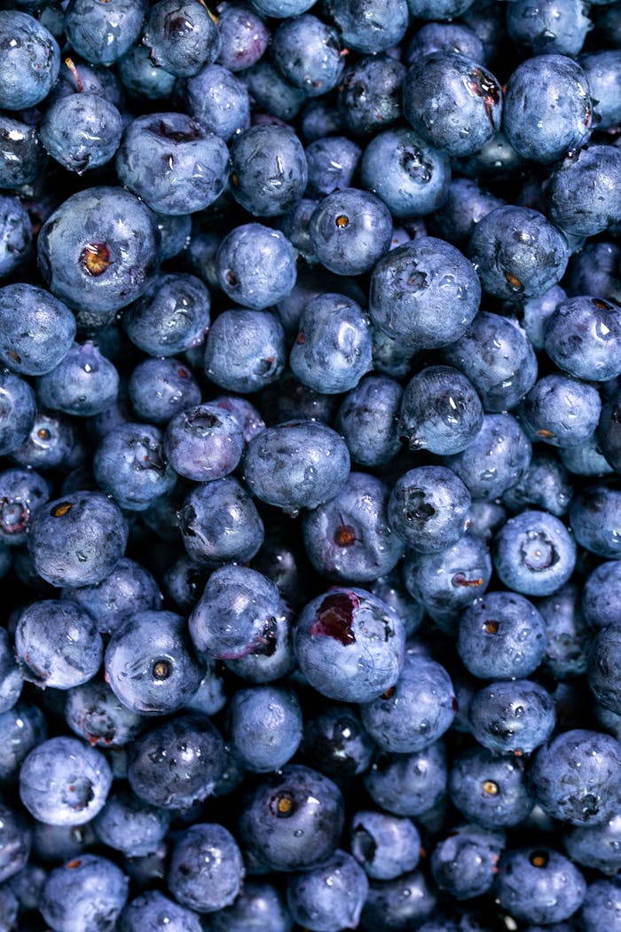 Close-up of fresh, juicy blueberries, showcasing their freshness and delicious appeal.