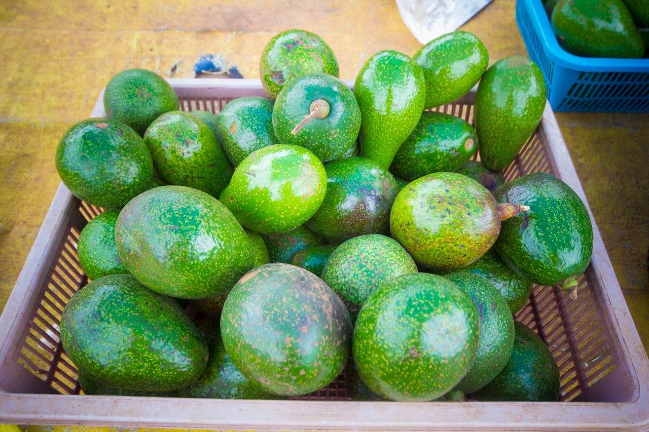 Close-up of fresh green avocados in a basket at a market, highlighting their vibrant texture and color.